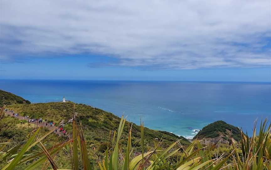 Harrison Cape Reinga Tours, Kaitaia, New Zealand