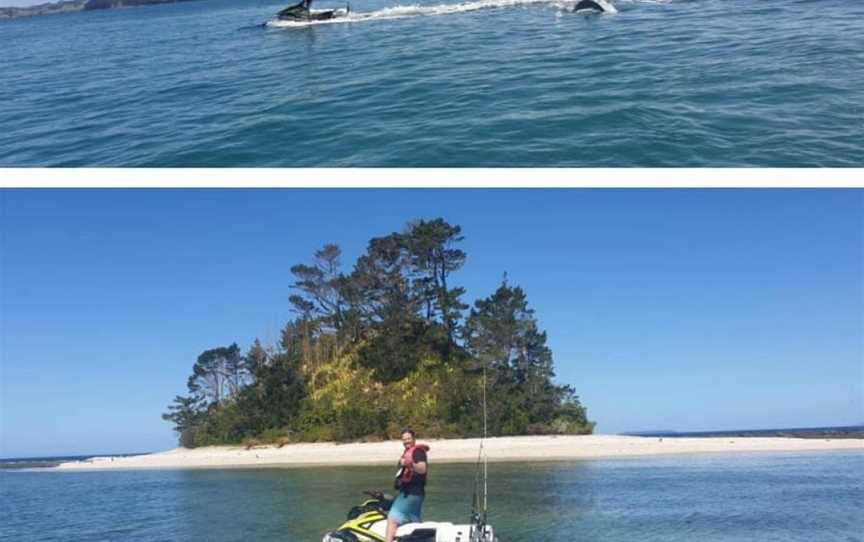 Hibiscus Jetski Hire Ltd, Point Chevalier, New Zealand