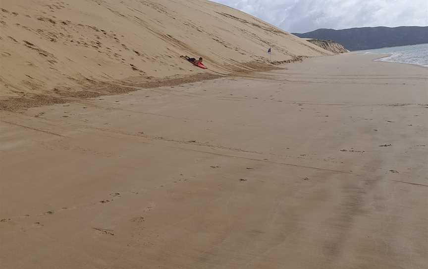 Hokianga Express Charters, Omapere, New Zealand