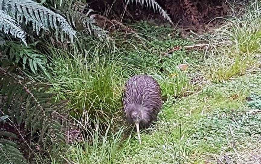 Hokitika Scenic Tours, Hokitika, New Zealand