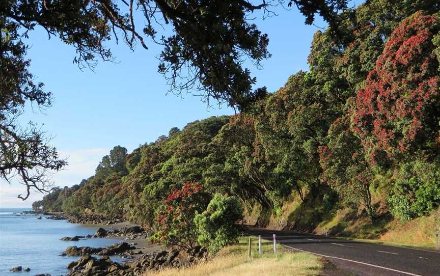 Jolly Bikes, Thames, New Zealand