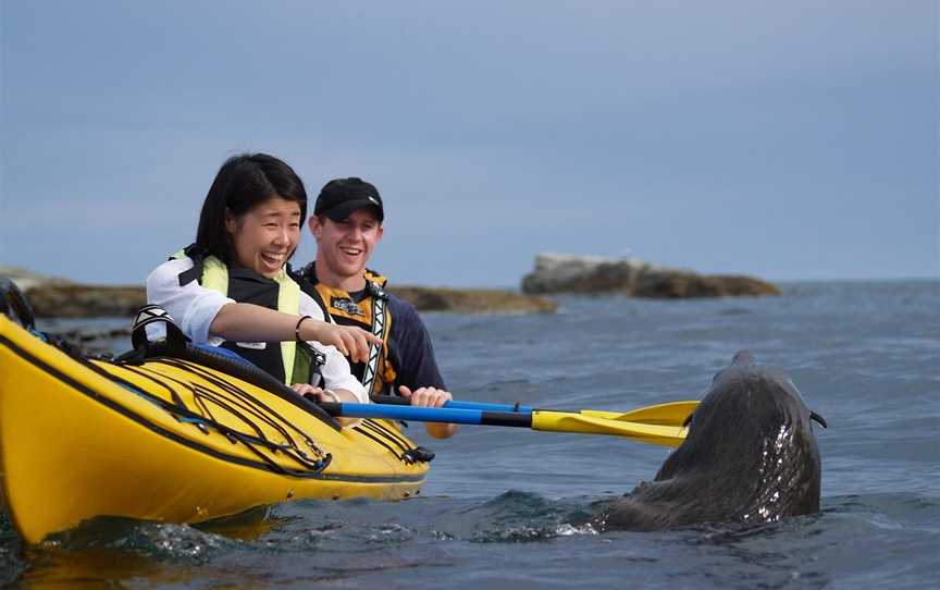 Kaikoura Kayaks, Kaikoura, New Zealand