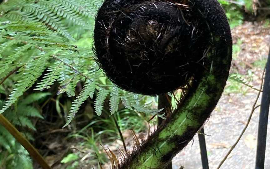 Kapiti Island Eco Experience, Paraparaumu, New Zealand