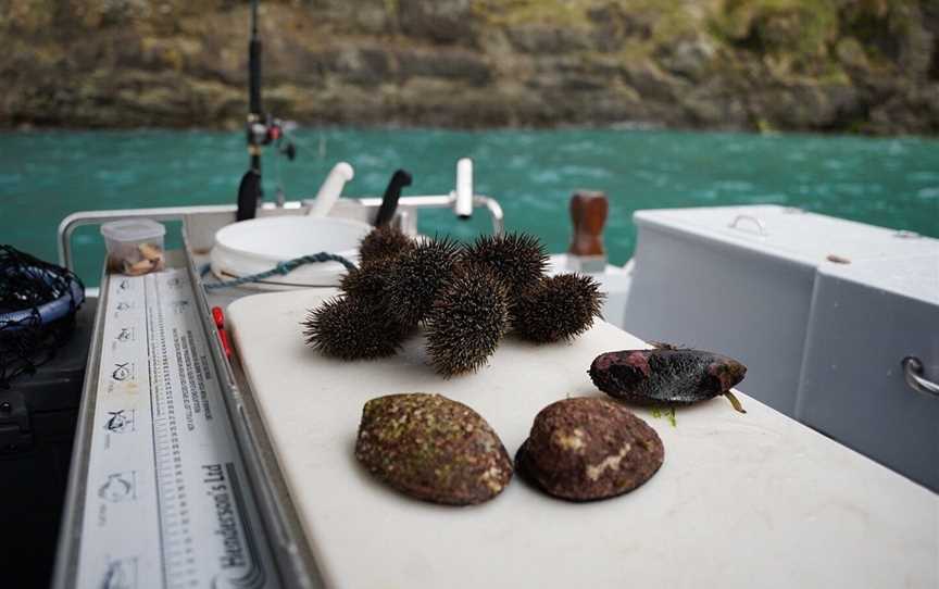 Katabatic Charters, Picton, New Zealand