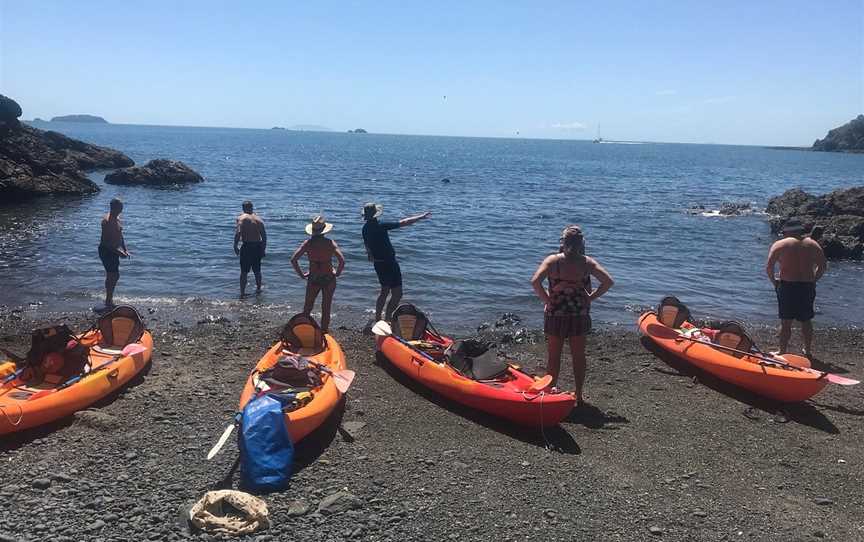 Kayak Waiheke, Oneroa, New Zealand