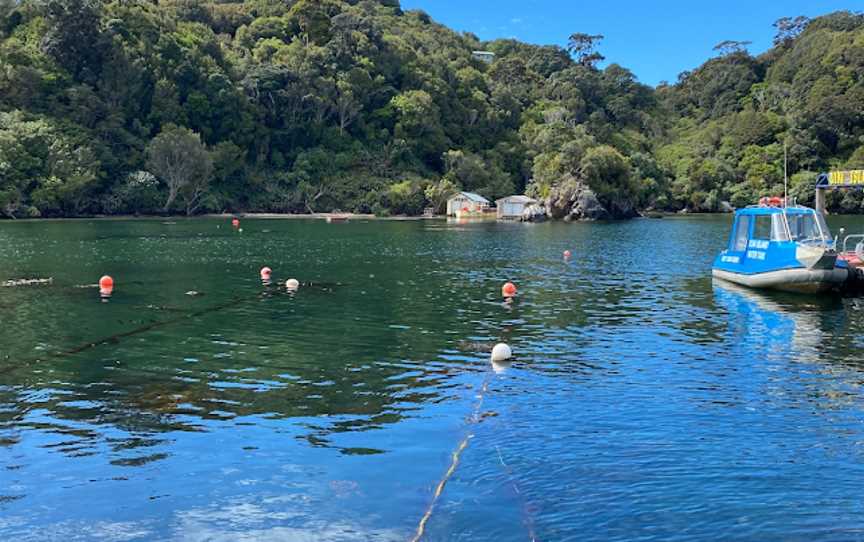 Rakiura Adventure Ltd., Stewart Island, New Zealand