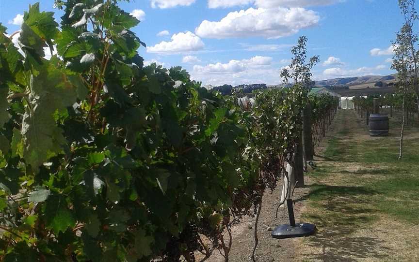 Martinborough Wine Tours, Martinborough, New Zealand