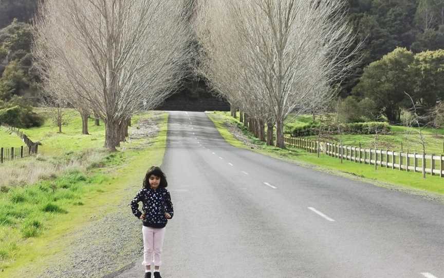 Matakana River Tours, Matakana, New Zealand