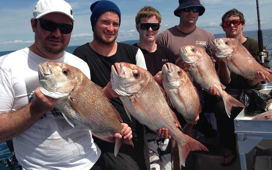 Megabites Fishing Charter Ltd, Auckland Central, New Zealand