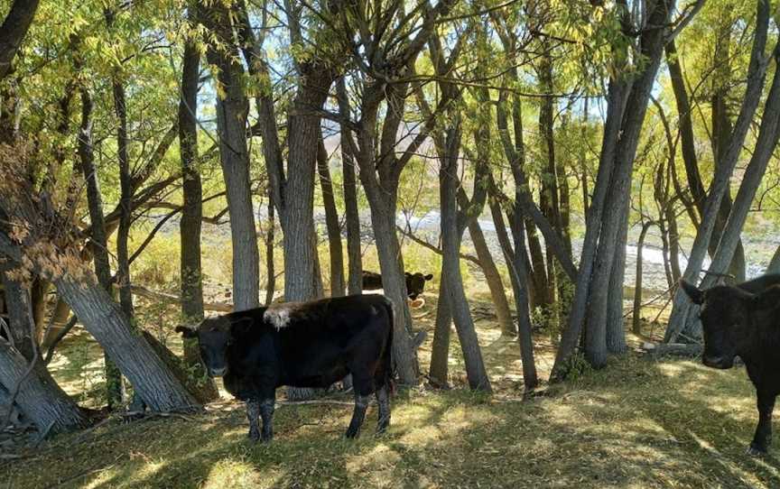 Molesworth Tour Company, Amberley, New Zealand