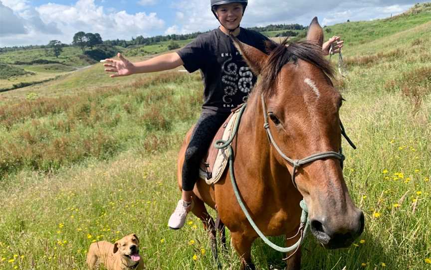 My Horsemanship Adventure, Pyes Pa, New Zealand