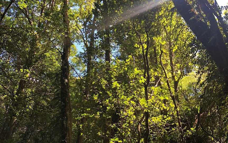 Natural Encounters Walks, Picton, New Zealand