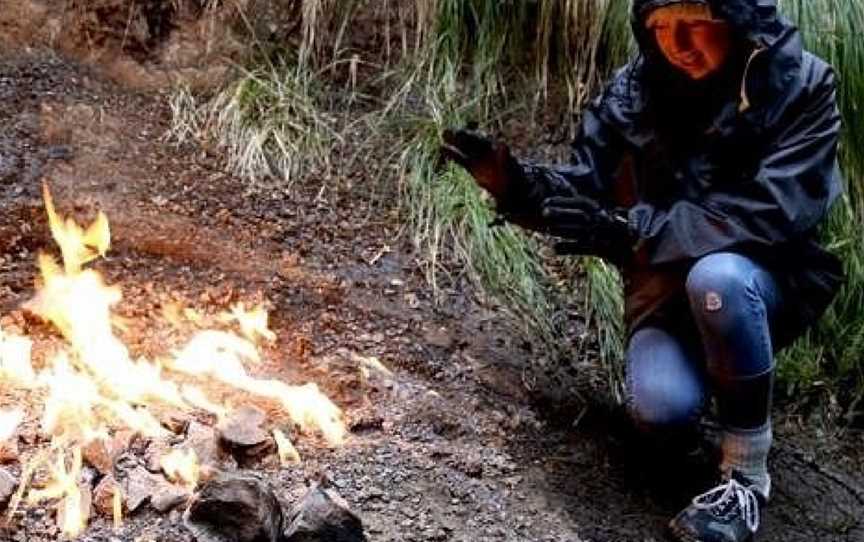 The Natural Flames Experience, Murchison, New Zealand