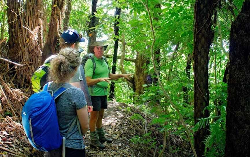 Nature & Nosh Tours, Temple View, New Zealand