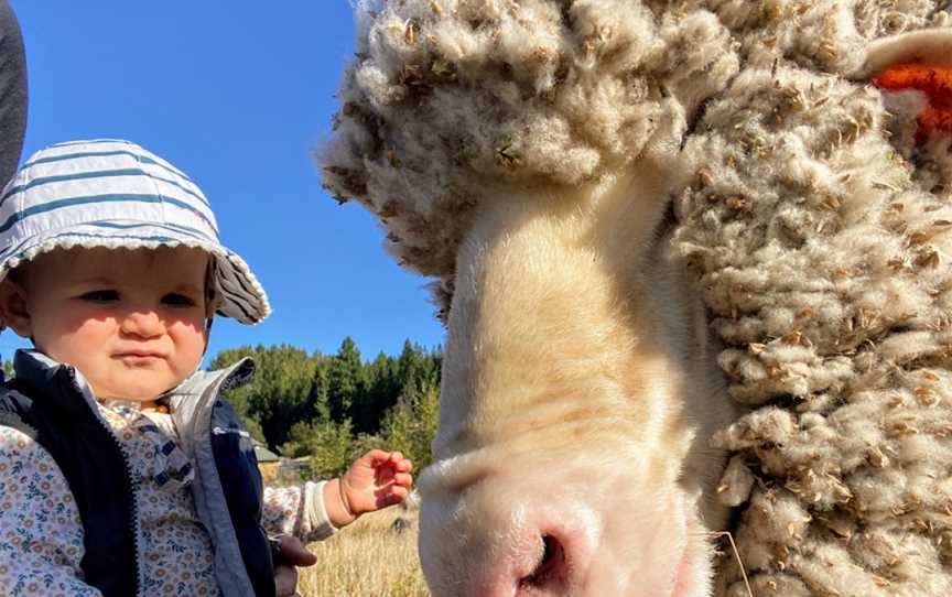 New Zealand Single Track Adventures, Twizel, New Zealand