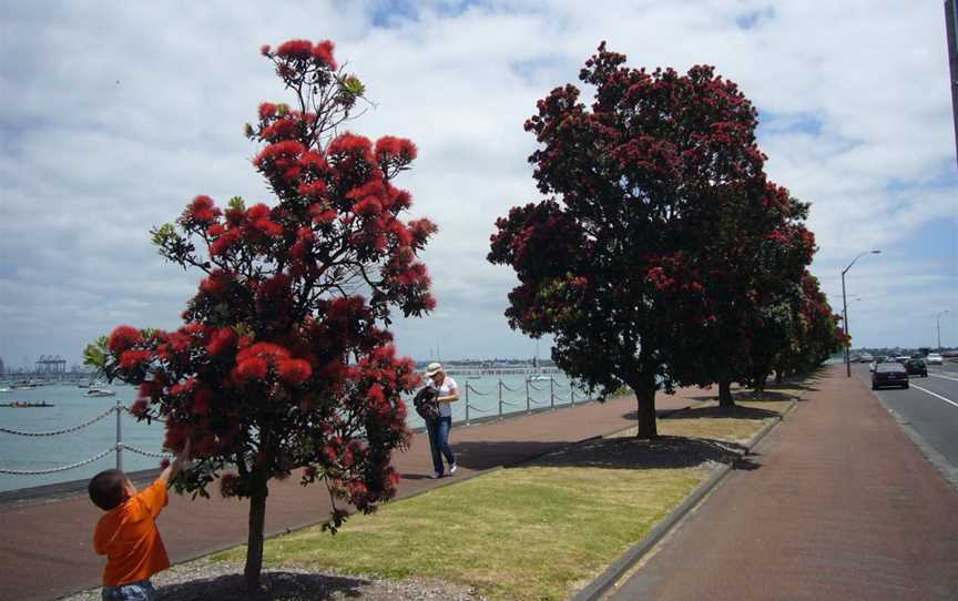 New Zealand Sailing Academy, Kohimarama, New Zealand