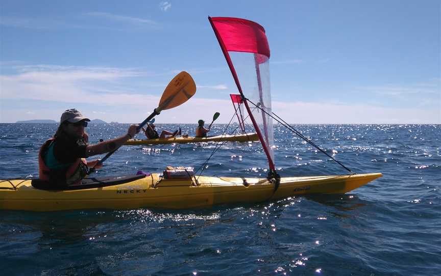 Pacific Coast Kayaks, Tutukaka, New Zealand