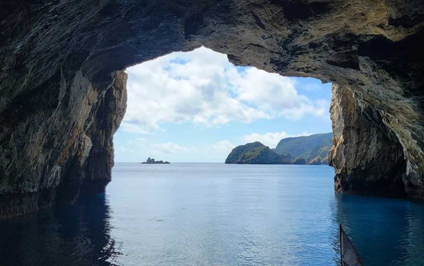 Perfect Day Ocean Cruise, Tutukaka, New Zealand