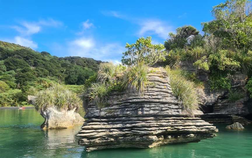 Raglan Harbour Cruises, Raglan, New Zealand