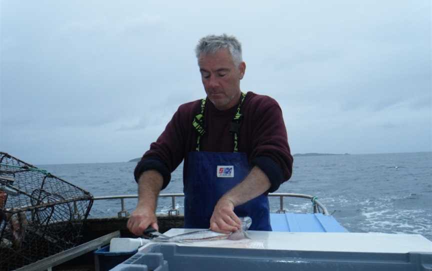 Tequila Fishing and Bird Watching Charters, Oban, New Zealand