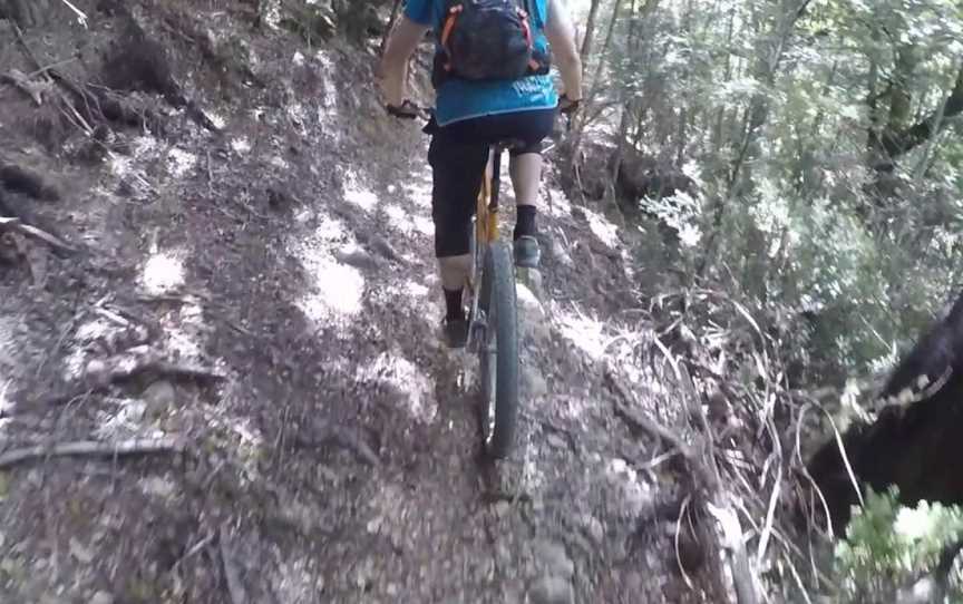 The Wairoa Gorge Mountain Bike Park, Nelson, New Zealand