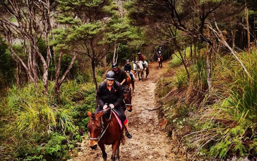 Ti Tree Hills Horse Treks, Waiwera, New Zealand