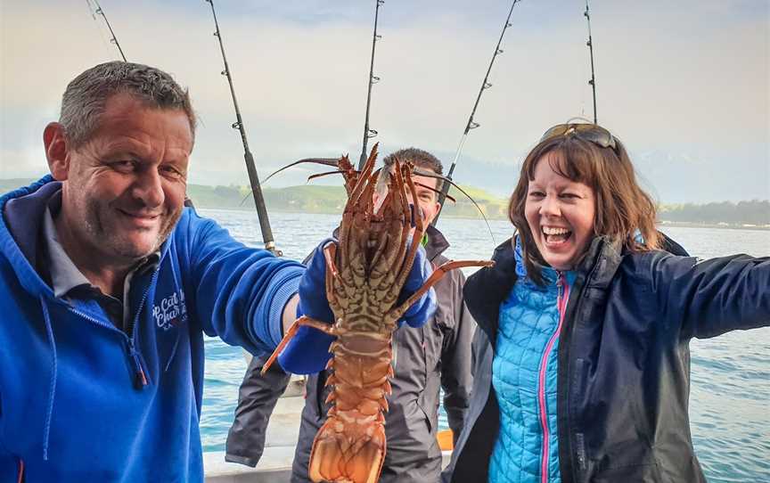 Top Catch Charters - Kaikoura, South Bay, New Zealand