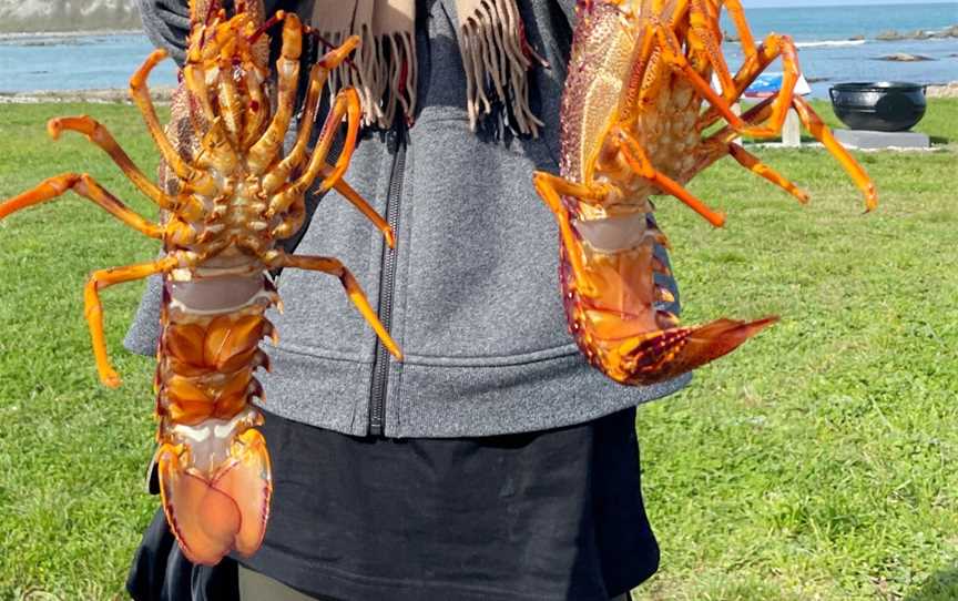 Top Catch Charters - Kaikoura, South Bay, New Zealand