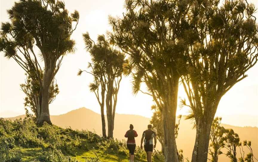 Tora Coastal Walk, Martinborough, New Zealand