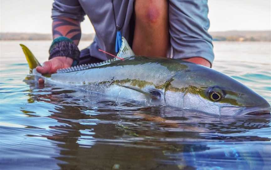 Trippin on Trout, Wharewaka, New Zealand