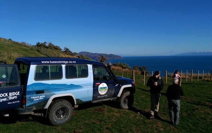 Tussock Ridge Farm Tours, Wellington, New Zealand