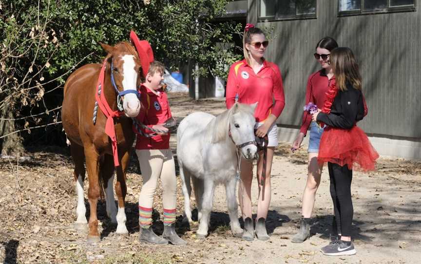 Waikato Equestrian Centre, Pukete, New Zealand