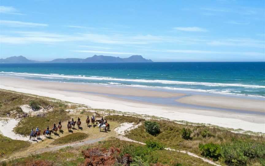 Waipu Horse Adventures, Waipu, New Zealand