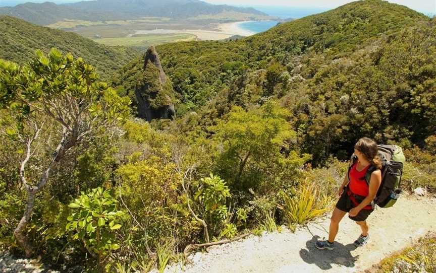 Walking Legends Guided Walks, Te Puke, New Zealand