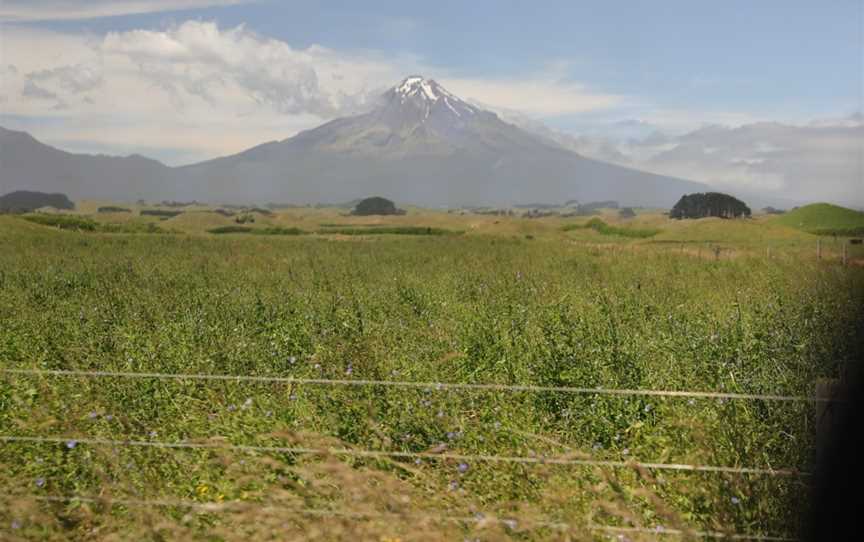 WAREA MOUNTAIN VIEW, Kaimiro, New Zealand