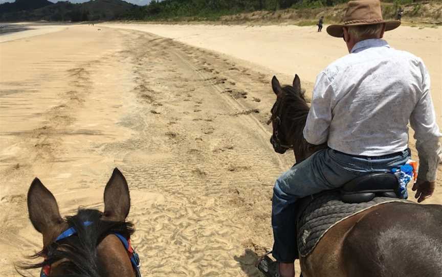 Whananaki Horse Treks, Helena Bay, New Zealand