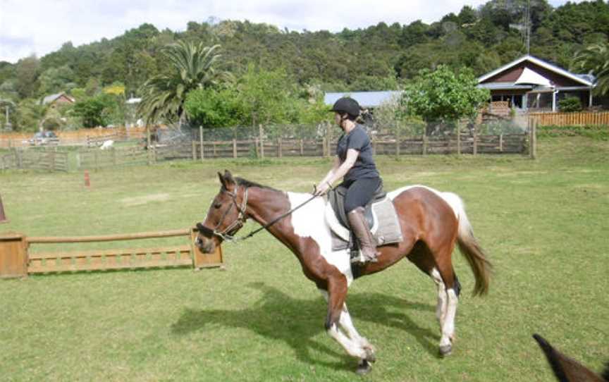 Whangarei City Riding Centre, Tikipunga, New Zealand