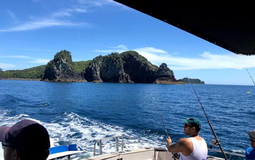 Whitianga Charters, Cooks Beach, New Zealand