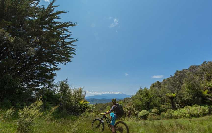 Whanganui Tours, Gonville, New Zealand