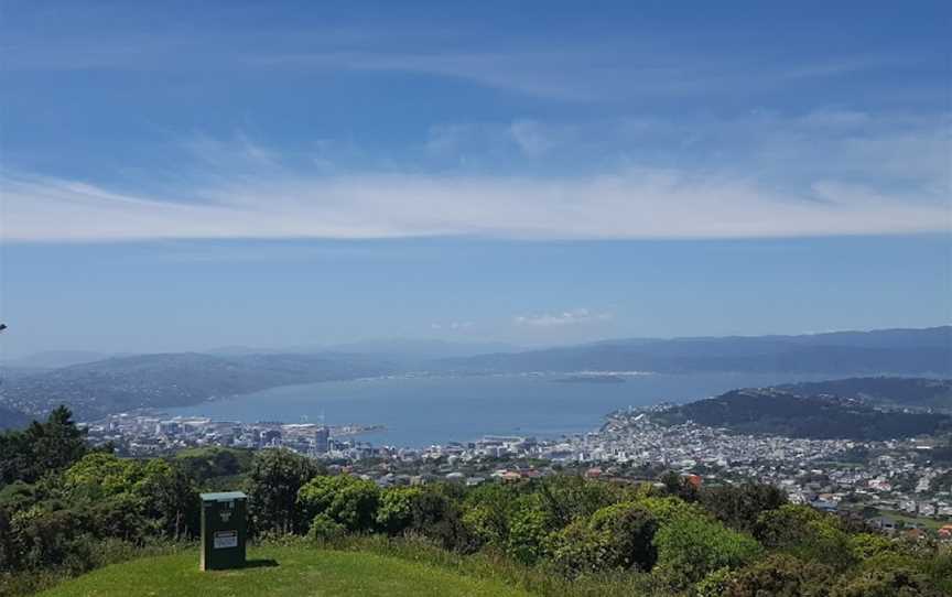 Zozo Travel , Wellington Central, New Zealand