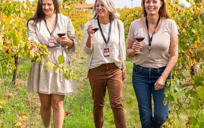 Guests enjoying wine in the Swan Valley