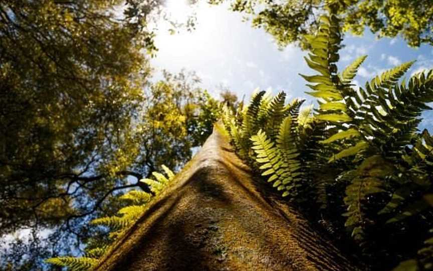 Cable Bay Adventure Park, Nelson, New Zealand