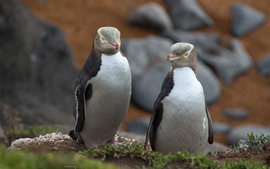 New Zealand Photography Workshops, Plimmerton, New Zealand