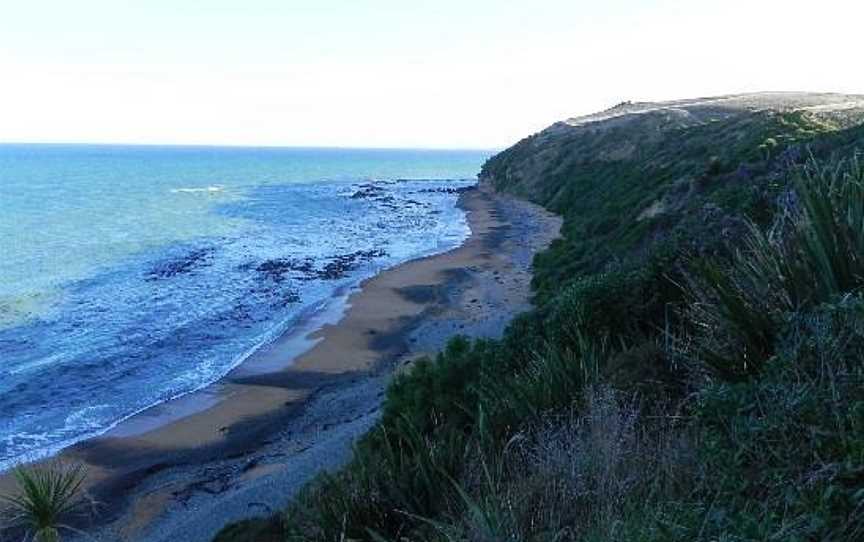 Oamaru Blue Penguin Colony, Oamaru, New Zealand