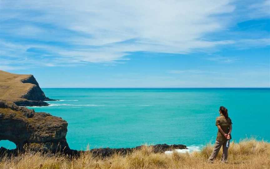 Pohatu penguins, Akaroa, New Zealand