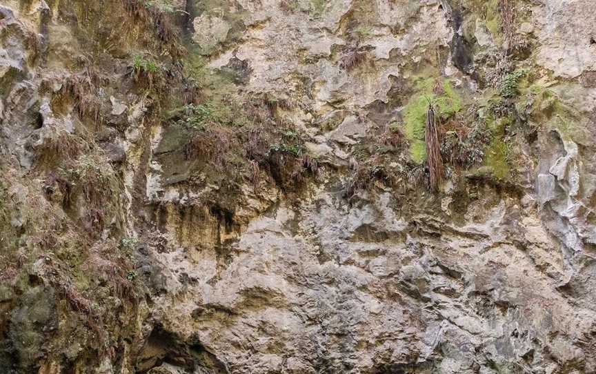 Sea Cave Adventures, Whitianga, New Zealand