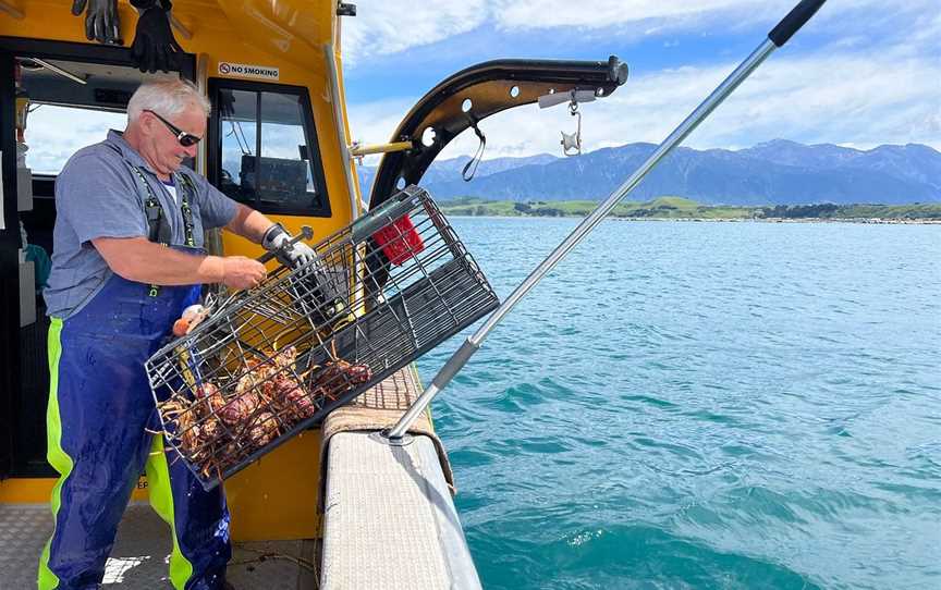 South Bay Fishing Charters, Kaikoura, New Zealand