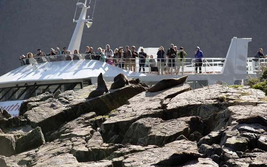 Southern Discoveries - Milford Sound Cruises, The Key, New Zealand