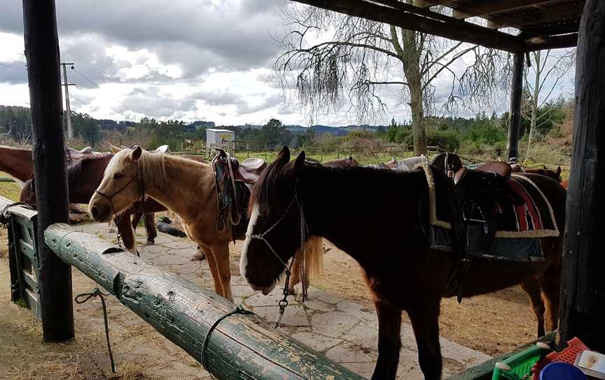 Taupo Horse Treks, Taupo, New Zealand