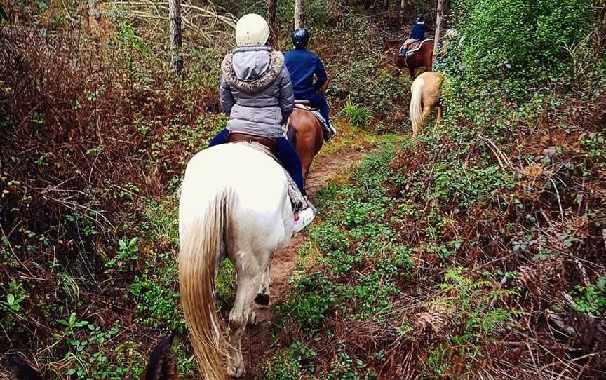 Taupo Horse Treks, Taupo, New Zealand